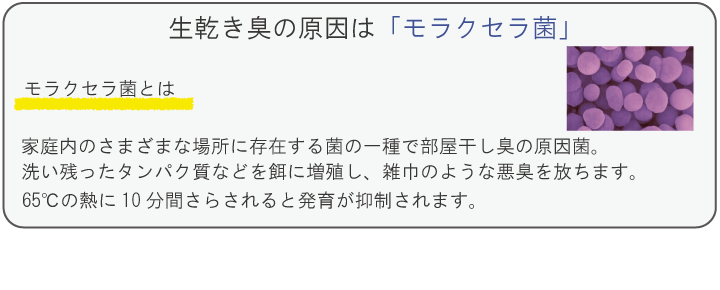生乾き臭の原因はモラクセラ菌